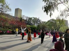 -文瀛公园