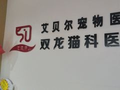 -艾贝尔宠物医院·24H转诊中心·肿瘤猫专科(江宁双龙店)