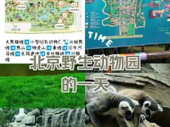 -北京野生动物园