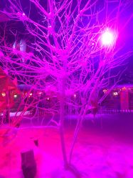-圣名游乐城冰雪大世界