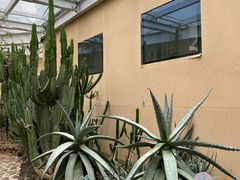 -正佳雨林生态植物园