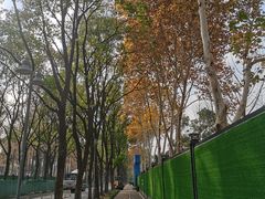 -后襄河公园