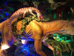 -恐龙探索乐园(磁器口店)