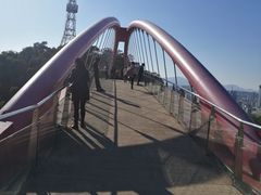 -金鸡山公园