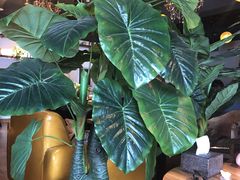 -欧典咖啡屋(台东店)