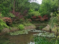 -新江湾城公园
