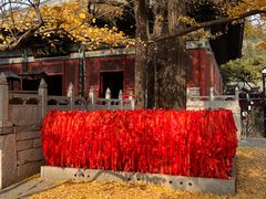 -红螺寺