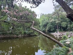 -叶家花园