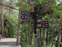 -铁山坪森林公园