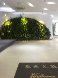 -依萱绮医疗美容