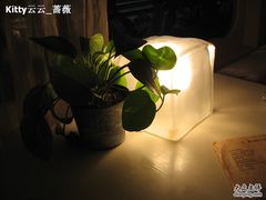 -Babycat私家御饼屋(龙头路一店)