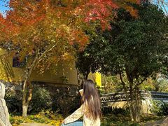 -狼山风景名胜区