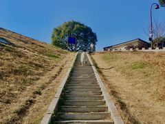 -龙坞茶村