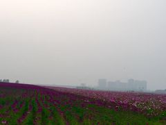-东戴河风景区-止锚湾