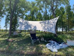 -春花秋色城市公园