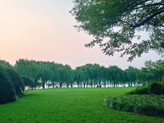 -柳浪闻莺公园