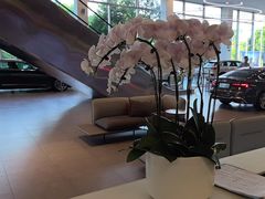 -上海永达奥诚奥迪4S店(申江路店)