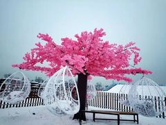 -绿野森林乐园冰雪季