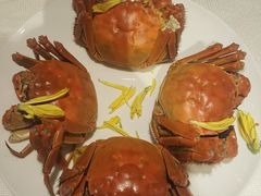 -阳澄湖费尔蒙酒店颐丰阁中餐厅(马鞍山西路店)