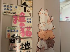 -唐小姐の私宠·宠物洗护美容·撸猫馆·购宠(周浦万达旗舰店)