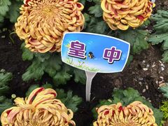 -汇龙潭