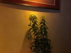 -龙门阵茶屋川菜馆(武康路店)