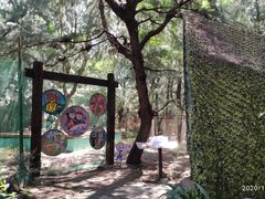 -北海金海湾红树林生态旅游区