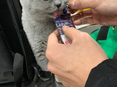 -瑞派名望24h动物医院异宠专科·猫专科·骨科·重症监护分院