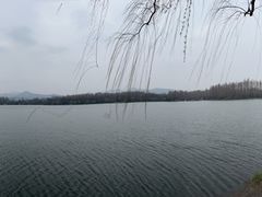 -杭州西湖柳莺里酒店·闻莺厅