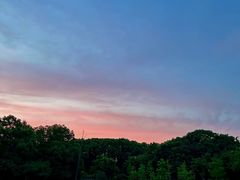 -昆山城市生态森林公园