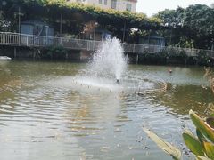 -陶缘一号·四季缘·老字号顺德菜·户外婚礼家宴(西滘店)