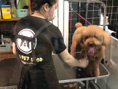 -Goku PET SHOP宠物视觉生活馆(双井店)