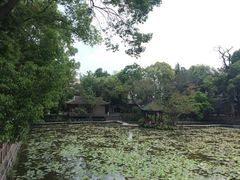 -房湖公园