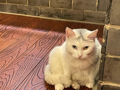 -张记牛肉面馆(天津路店)