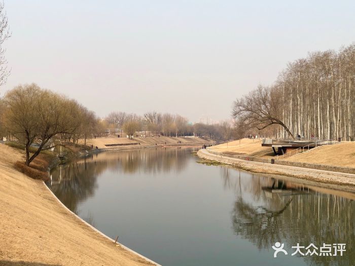 坝河休闲公园图片