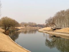 -坝河休闲公园