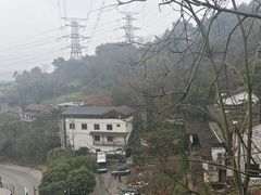 -巴倒烫陆派重庆火锅(南山店)