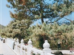 -八大处公园