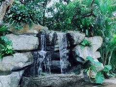 -海南白石岭旅游区
