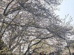 -杭州少年儿童公园