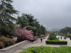 -大蜀山国家森林公园