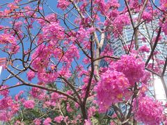 -天河体育中心