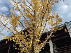 -香积寺