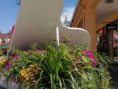 -COACH蔻驰(赛特奥特莱斯店)