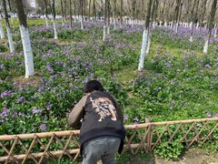 -白塘生态植物园