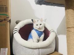 -美联众合动物医院·24h转诊中心