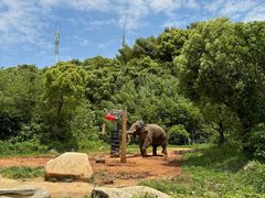 -宁波野生动物园