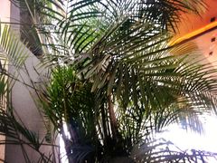 -京津新城温德姆至尊酒店(珠江大道店)