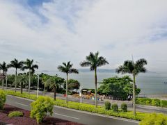 -八婆婆烧仙草(曾厝垵店)