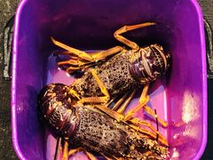 -同乐酒楼(皇后镇店)